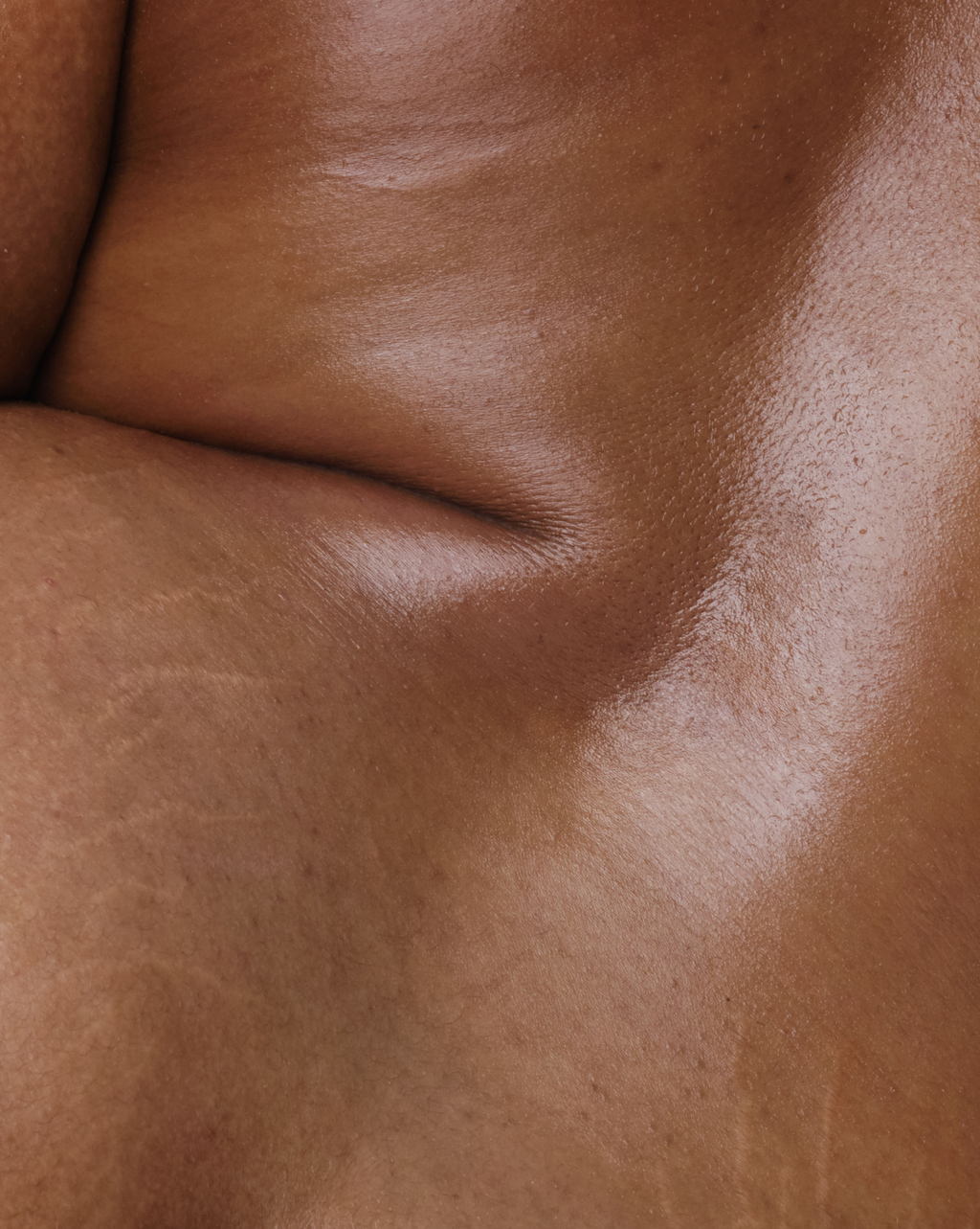 The Complete Body Hero Collection