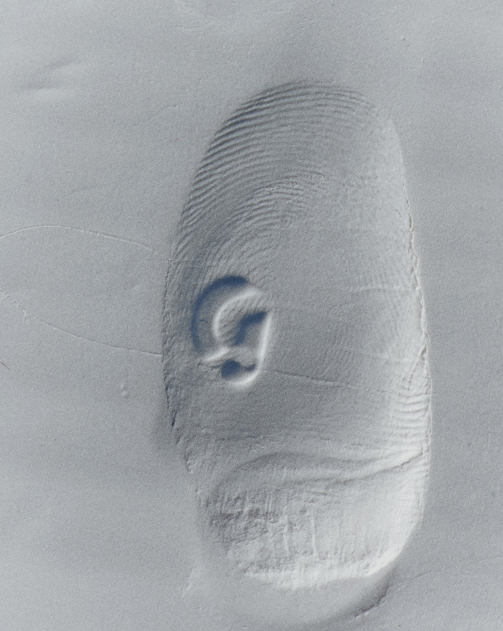 Fleur + You Travel Spray