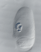 Fleur + You Travel Spray